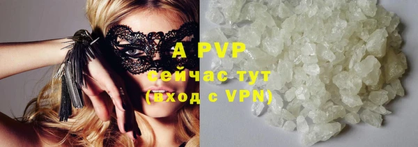 прущие крисы Белокуриха