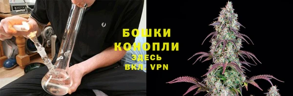 прущие крисы Белокуриха