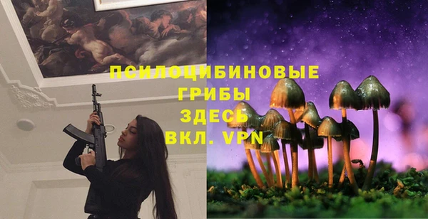 прущие крисы Белокуриха