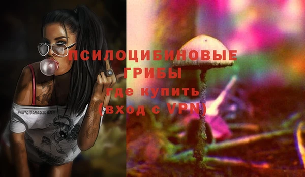 прущие крисы Белокуриха