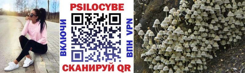 Псилоцибиновые грибы прущие грибы  Кузнецк 