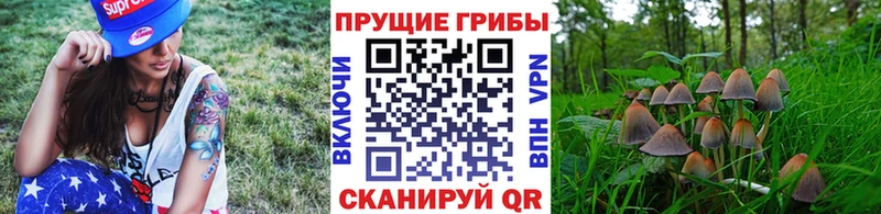 Галлюциногенные грибы мухоморы Кузнецк