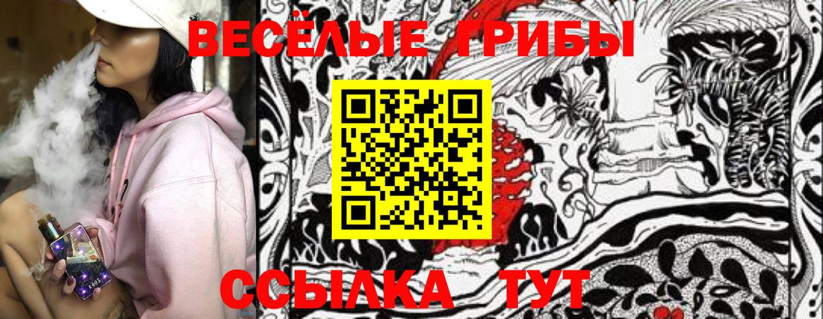 Галлюциногенные грибы Cubensis Кузнецк