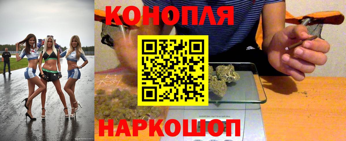 Шишки марихуана марихуана Кузнецк